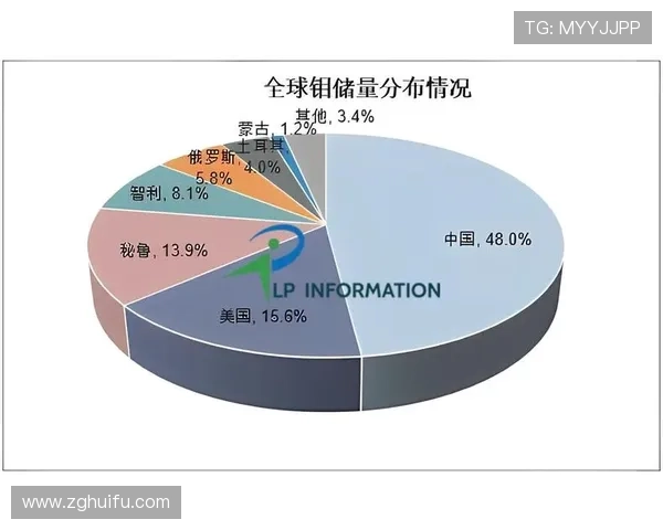 法国企业家创新精神推动全球经济变革与产业升级解析