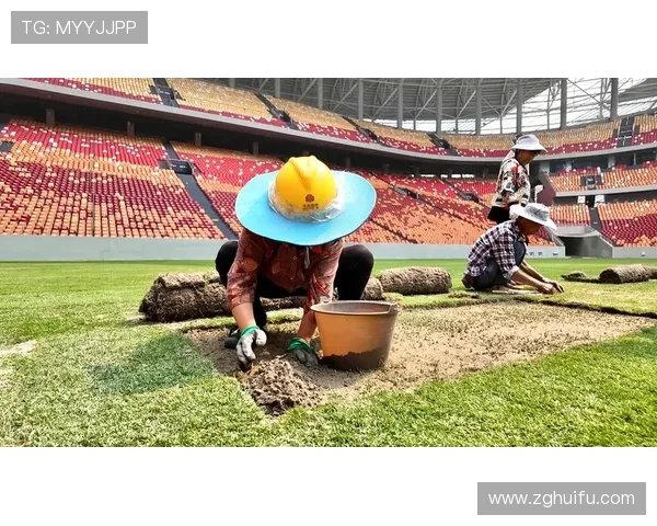 世界杯草皮争议引发讨论热潮中